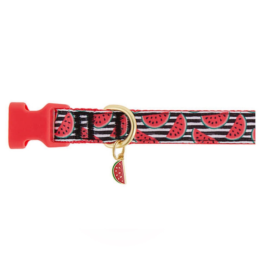 Top Paw® Watermellon Adjustable Dog Collar